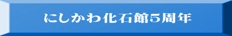 にしかわ化石館５周年