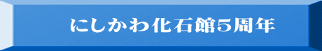 にしかわ化石館５周年